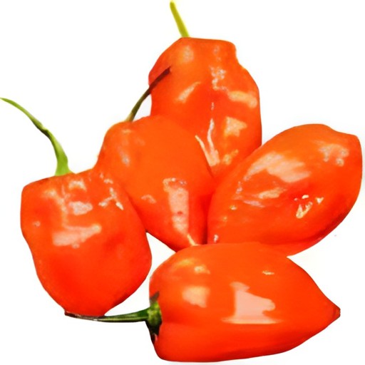 Chilli Habanero