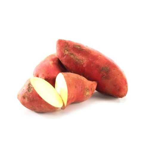 IndianSweetPotato 1 LBS