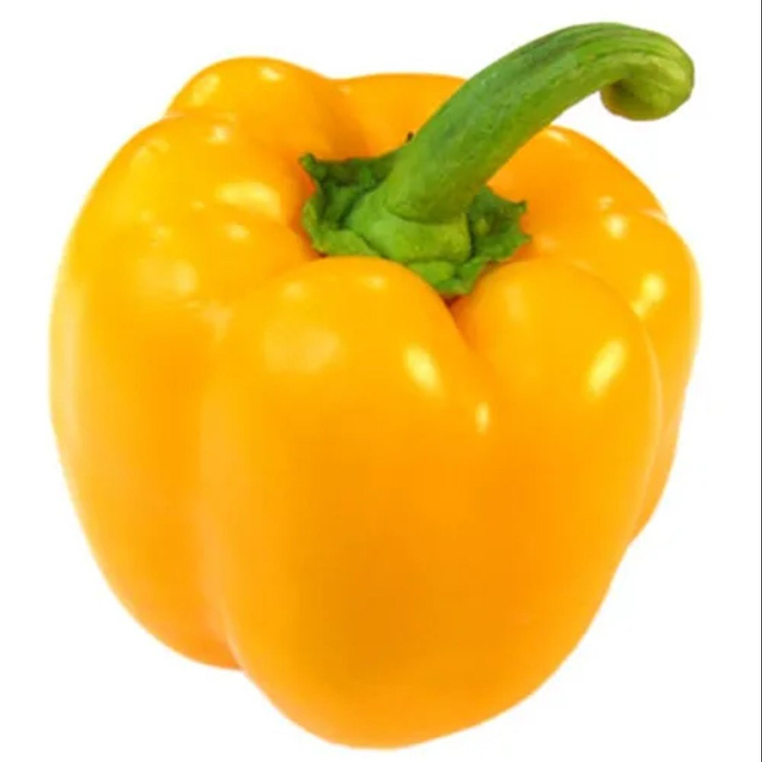 BellPeperYellow 25 LBS