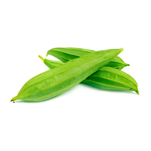 ChineseOkra Turiya  28 LBS