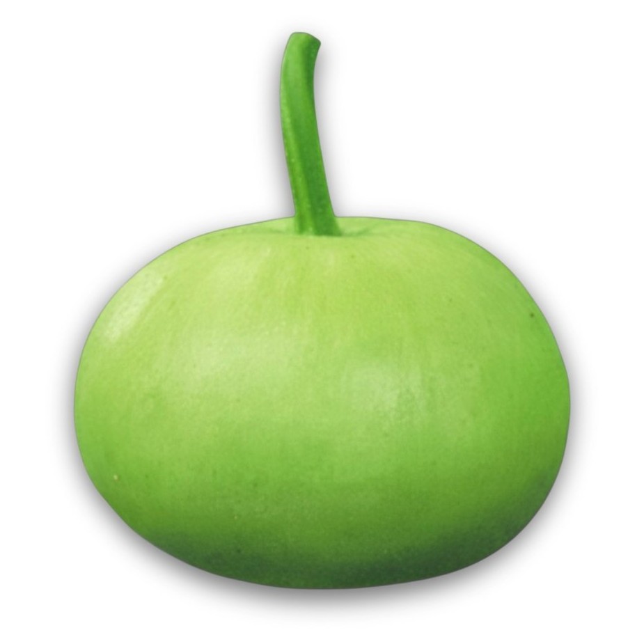 Round Dudhi 1 LBS