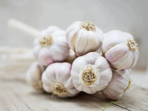 WhiteGarlic 5 PCS