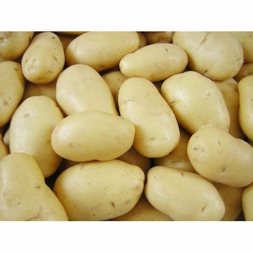 PotatoBox 50 LBS