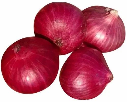 PearlRedOnion 1 LBS