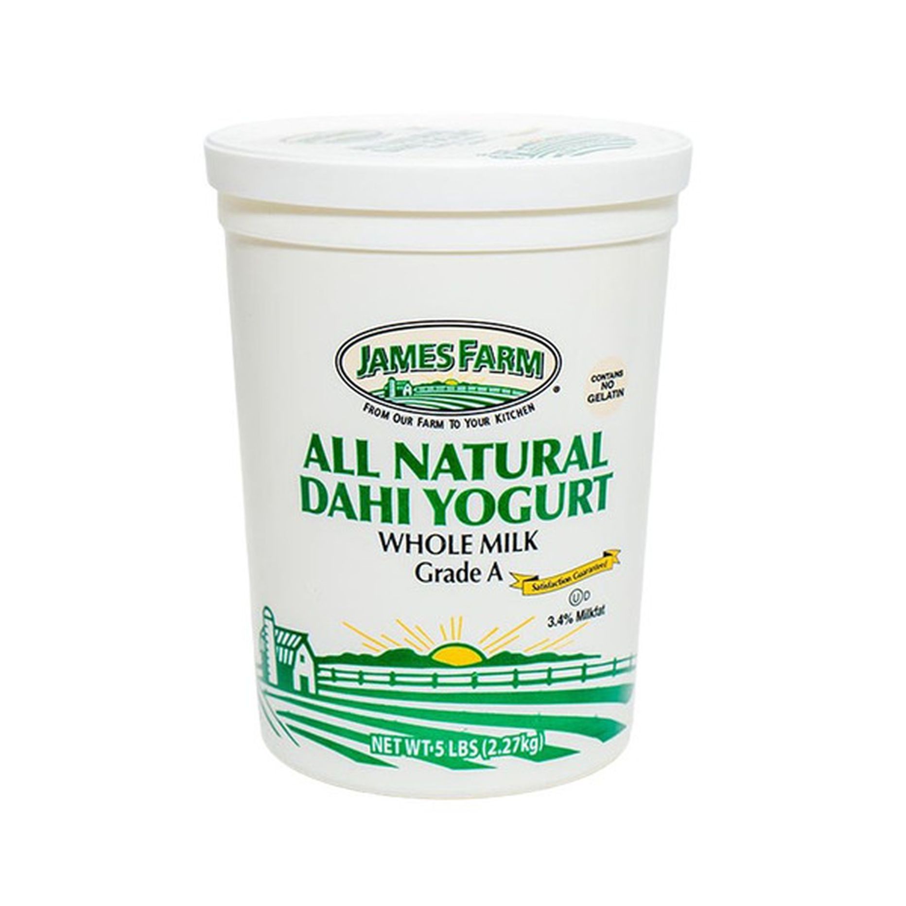 DAHI YOGURT 5 LBS