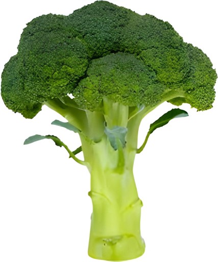 BROCCOLI 1 LBS