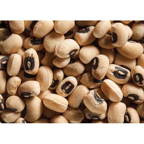 SABOR BLACK EYE PEAS 1 PACK