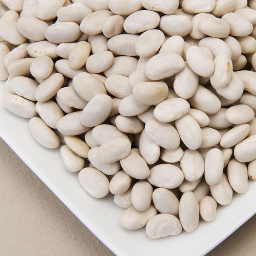 SABOR GREAT NORTHERN BEANS 1 LBS