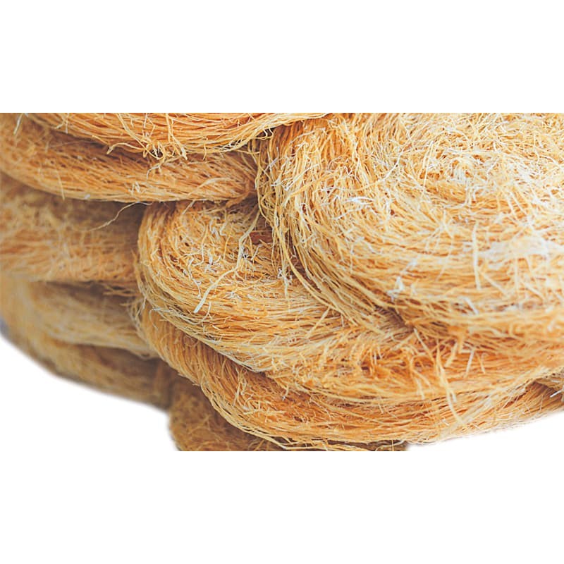 Morr Pheni 200 GM
