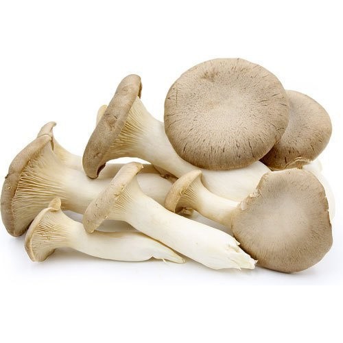 FRESH MUSHROOMS 8 OZ