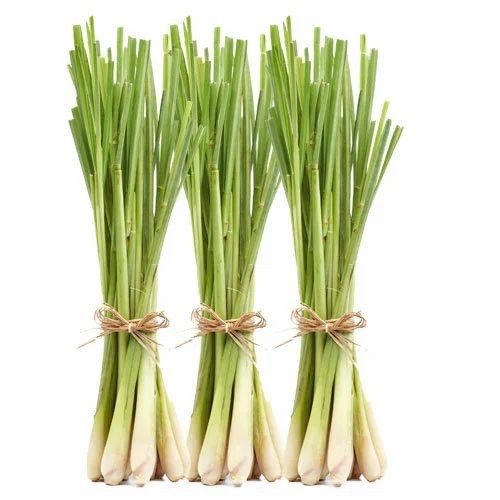 LEMON GRASS FRESH 1 LBS