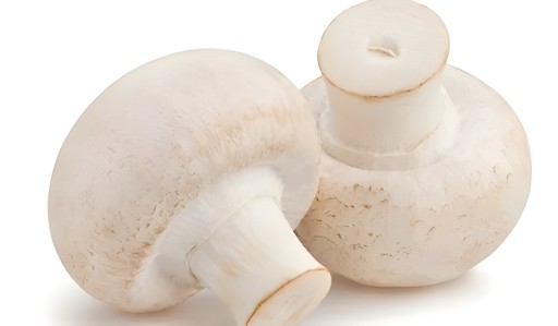 MUSHROOM WHOLE 16 OZ
