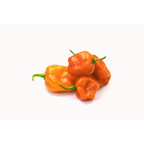 HABANERO ORANGE PEPPERS 1 LBS
