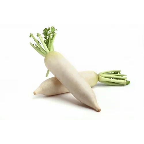 CELLO RADISH 1 LBS