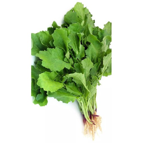 GREEN MUSTARD 1 LBS