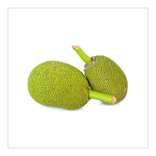 Baby Jackfruit 1 LBS