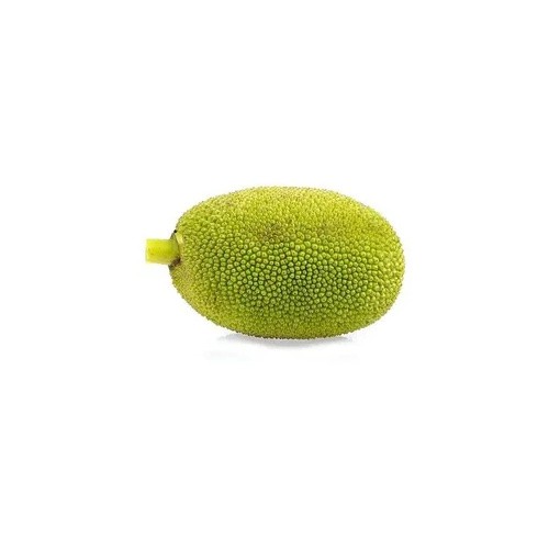 Jackfruit Cut 1 LBS