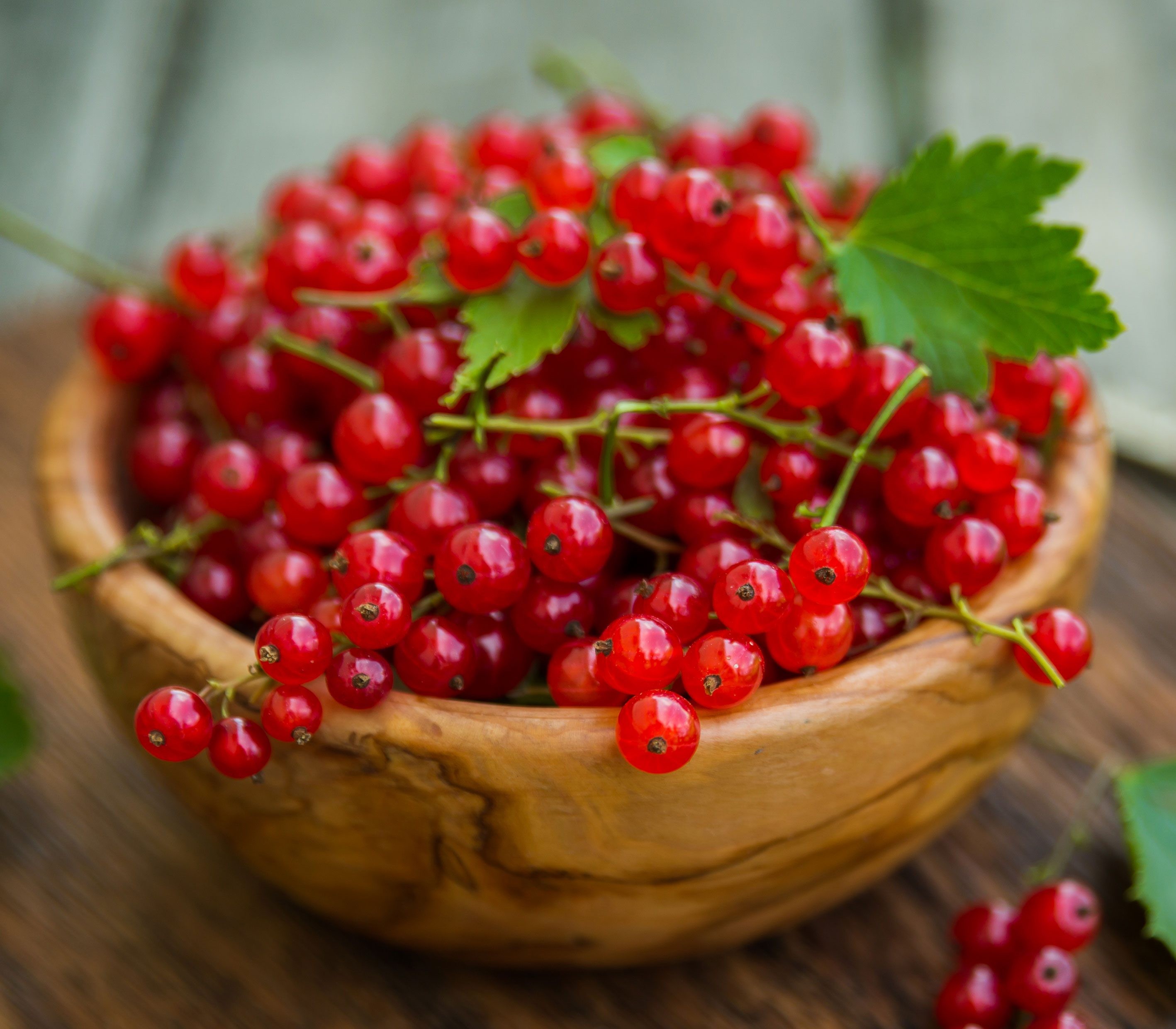 Red Currants 6 Oz