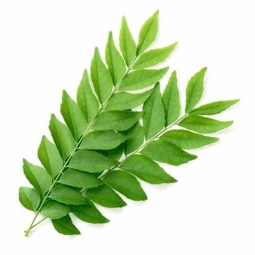 CURRY LEAVES 1 LBS