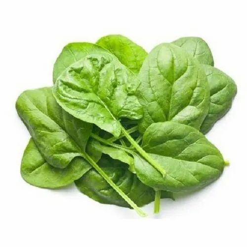 Spinach 6 OZ