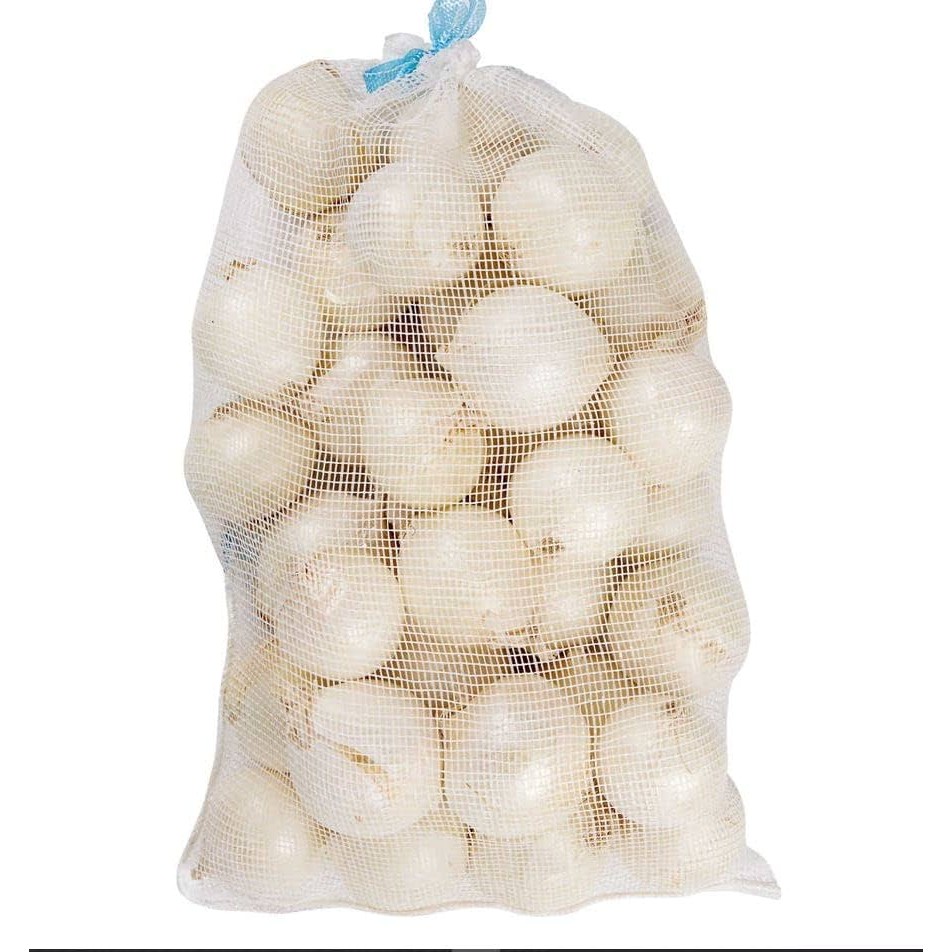 WHITE ONION 10LB BAG 1 LBS