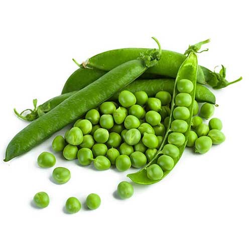 GREEN VATANA 1 LBS