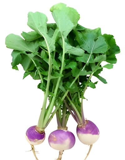 TURNIP WITH LEAF 1 LBS