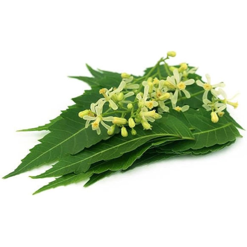 Neem Leaves/Flowers 1 LBS