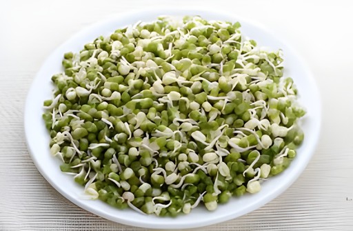 MOONG SPROUTS BIG 1 LBS