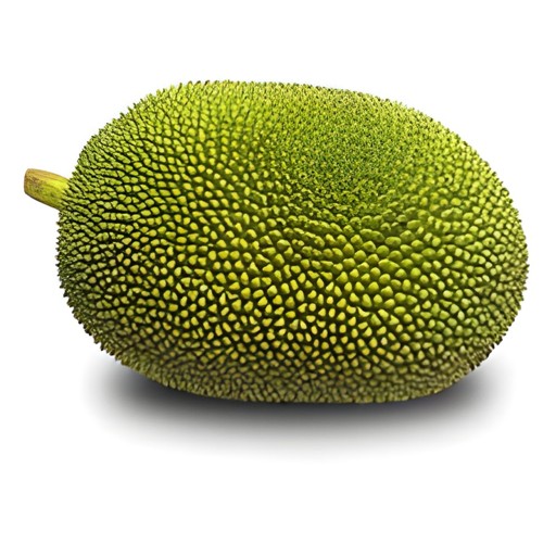 FRESH JACKFRUIT 1 LBS