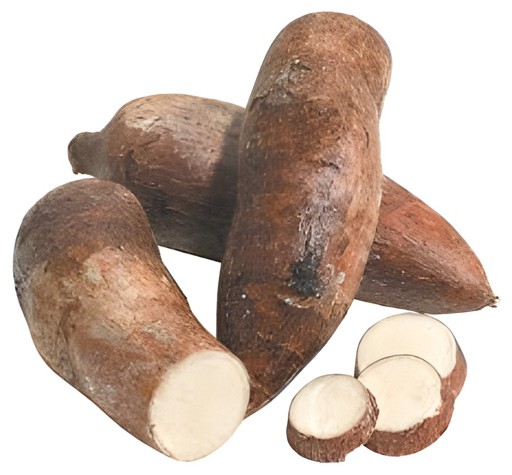 YUCA ROOT 1 LBS