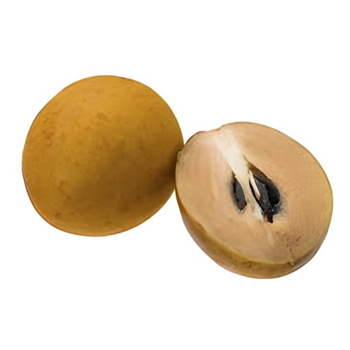 FRESH CHIKU 1 LBS