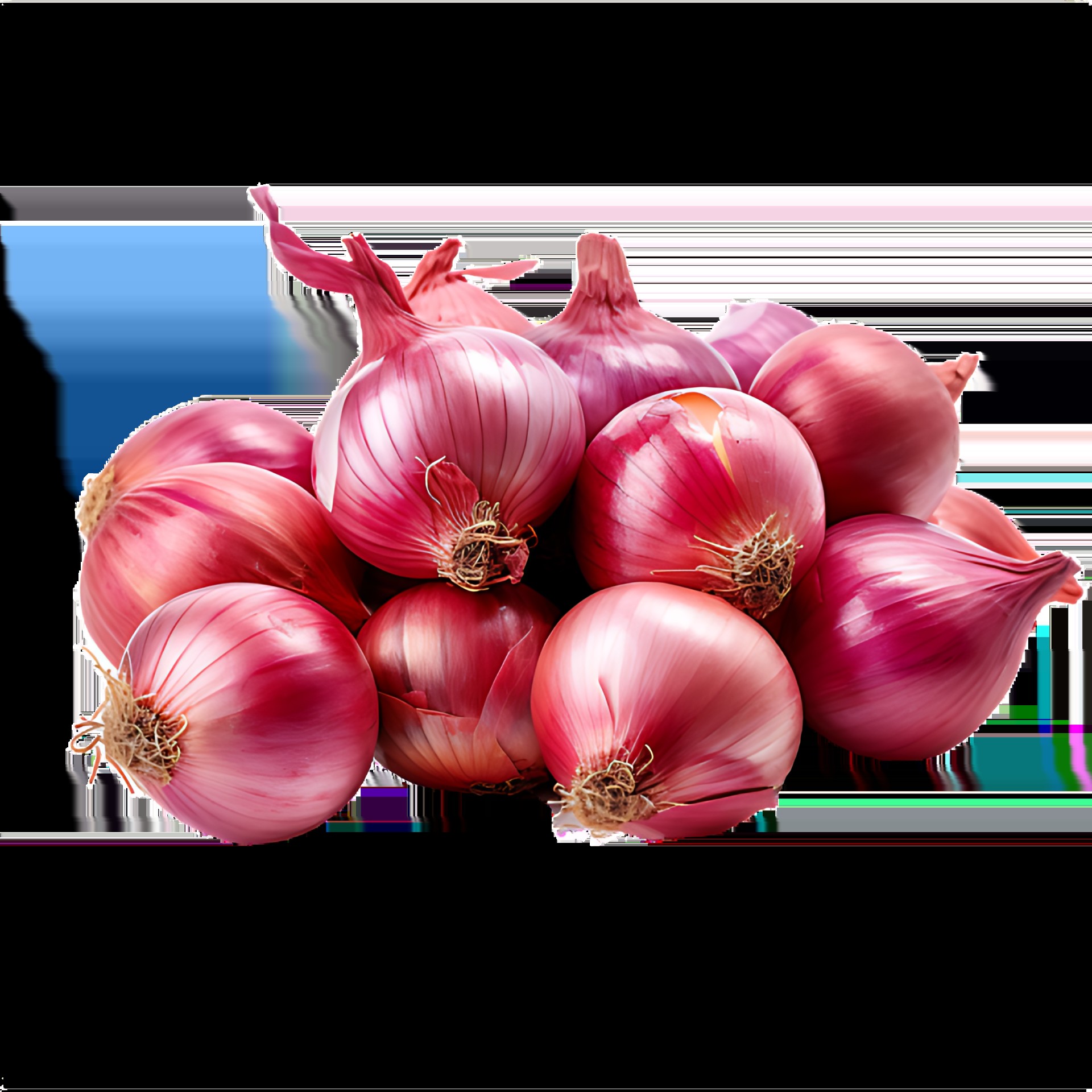 Shallots  1 LBS