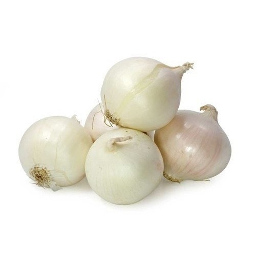 White Onion  10 LBS