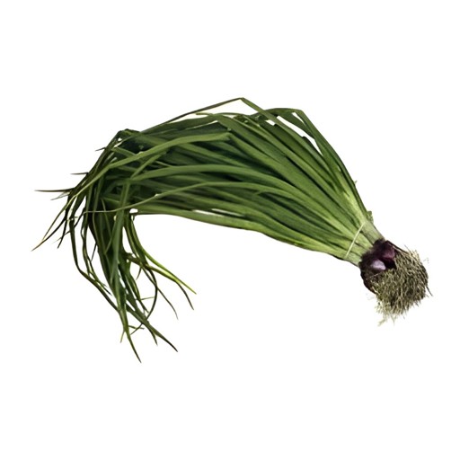 SPRING ONION BUNCH 1 LBS