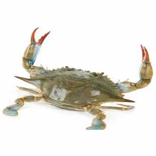 Crabs 1 LBS