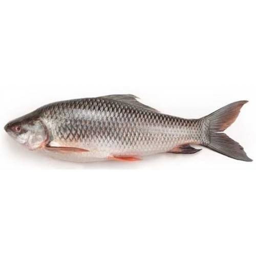 Hurulla Fish 2 LBS