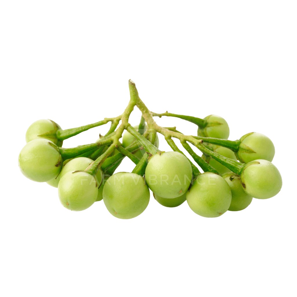 GREEN THAI EGG PLANT 1 LBS