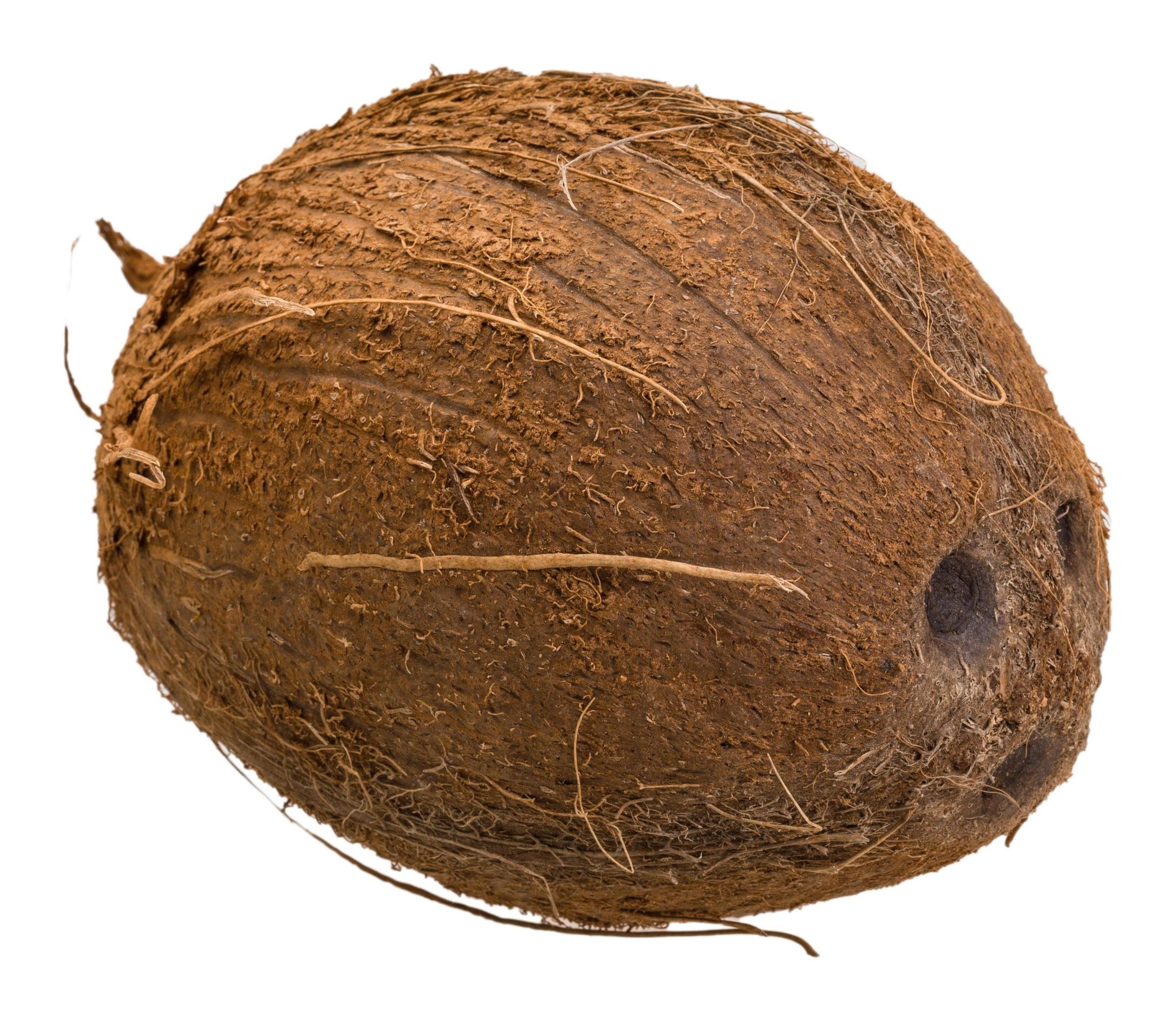 Coconut Organic 1 EACH