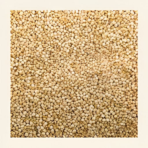 DHANRAJ WHITE QUINOA 400 GM