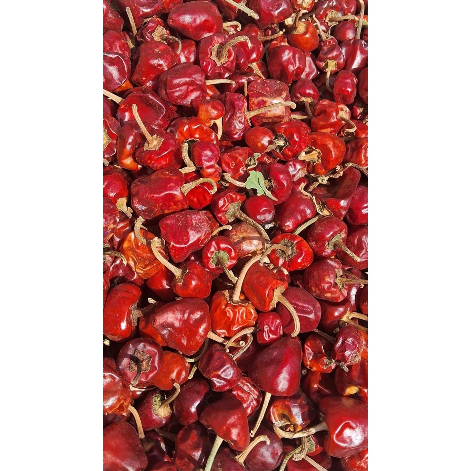 Tirumala Chilli Whole 200 GM