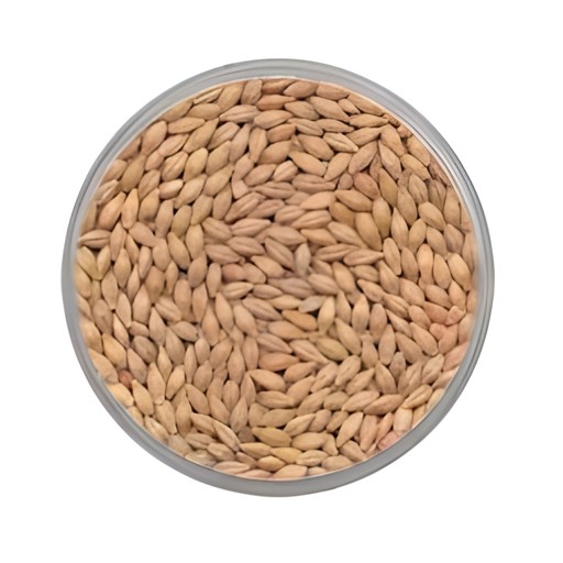 Vanraj Barley Jav 400 GM