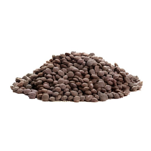 Dhanraj Masoor Whole 4 LBS
