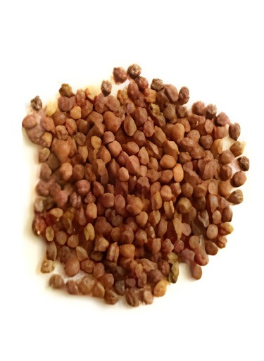 Dhanraj Kala Chana 10 LBS