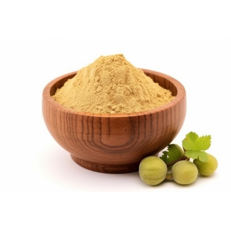 Dhanraj Amla Powder 100 GM