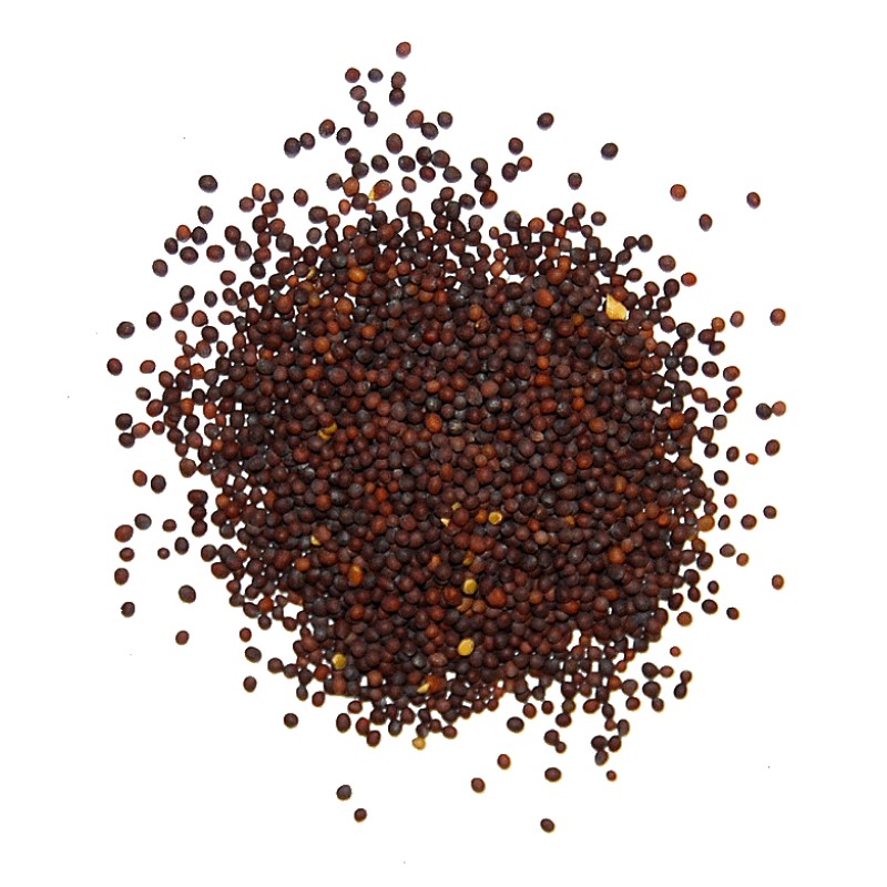 Dhanraj Mustard Seeds 1 PACK