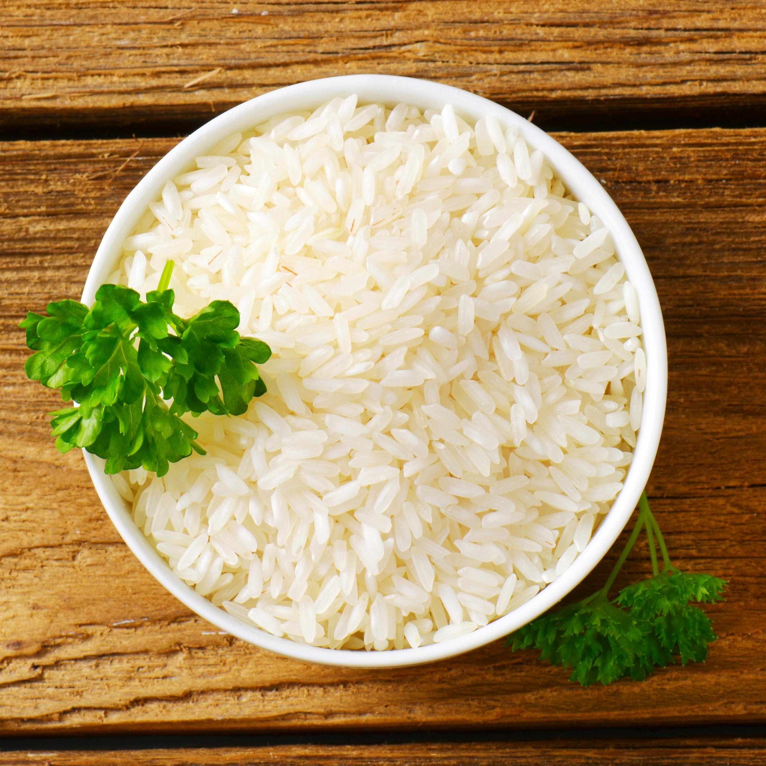 Elephant Jasmine Rice 20 LBS