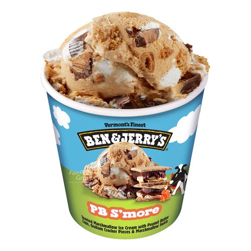 B&J PB SMORE 16 OZ