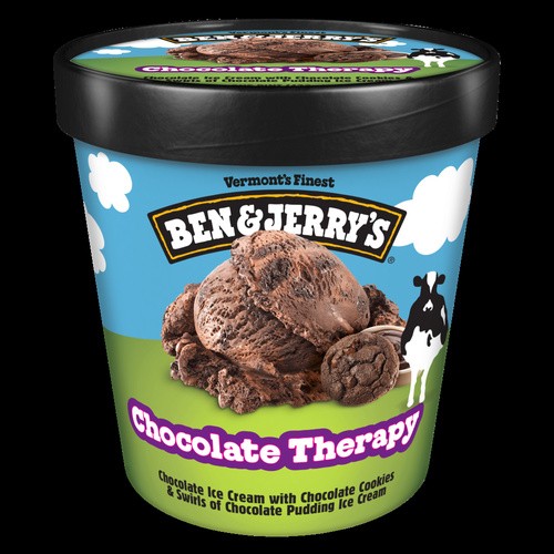 BEN&JERR CHOC THERAP 16 OZ