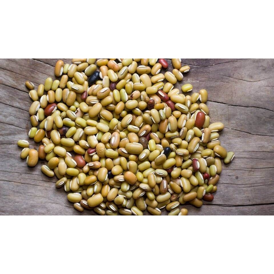 HL Masyang Beans 2 LBS